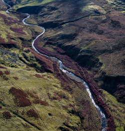 photowilliams: Moorland Meanderings North