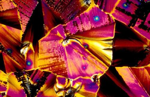 Visual Style 19: Alcohol under microscope