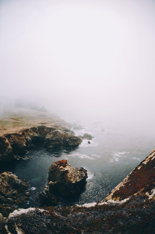 sassafranski:  ominous mornings in Big Sur 