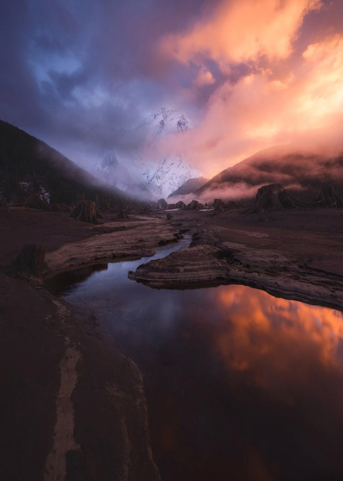 coiour-my-world:Deadlands | Daniel Greenwood