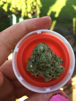 veraisastoner:  just another shot of this 🔥 OG