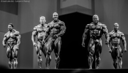 pidodany:  Arnold Classic Europe 2013 - Spain, Madrid
