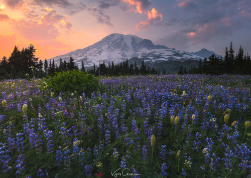 te5seract:Tatoosh Range &Mazama RidgebyVijay chebium