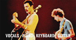 fuckyeahmercury:  Happy 68th Birthday Freddie!~ 5th September 1946 ~