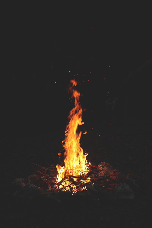 F A L L .