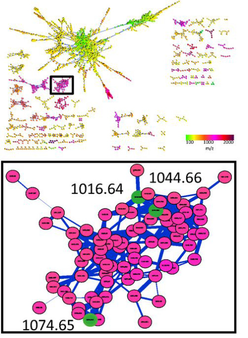 cytoscape pathway analysis