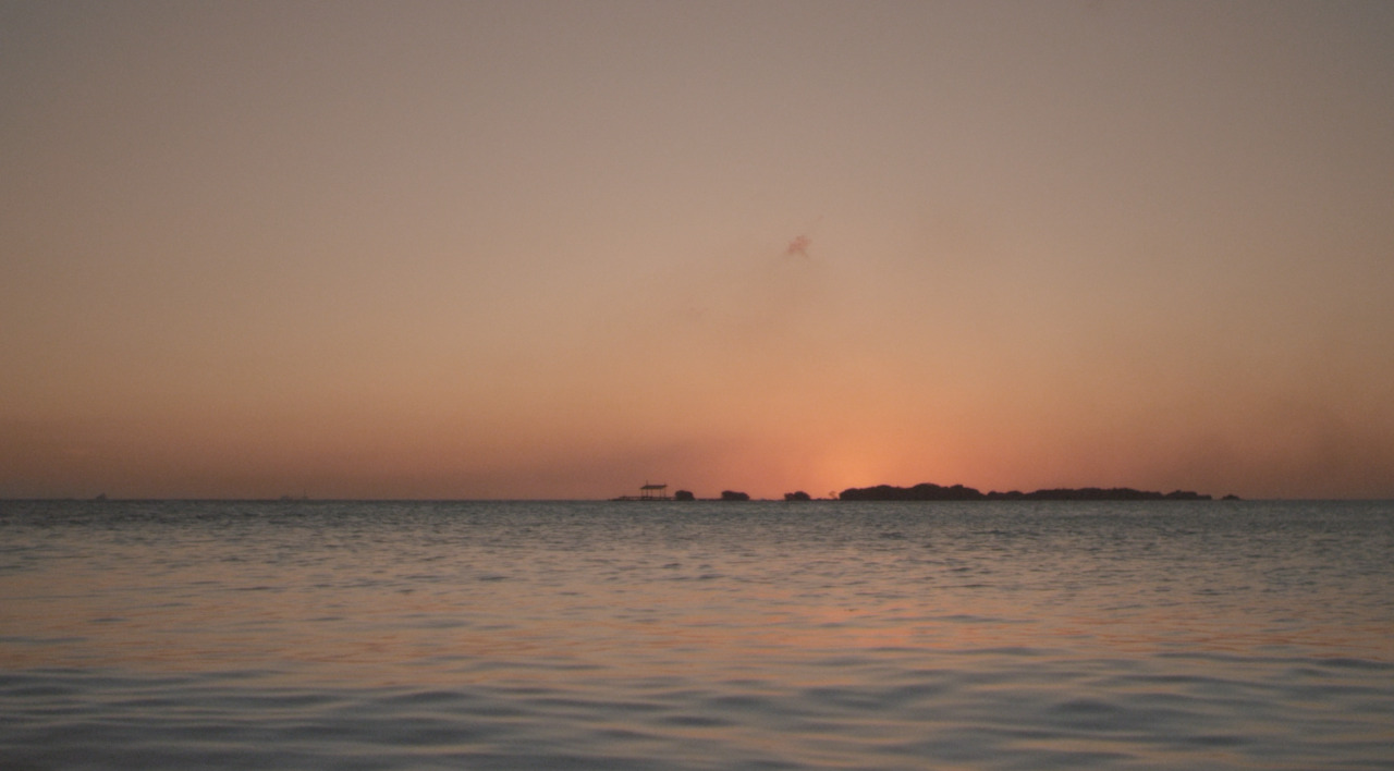 twimclabel:  iamamiwhoami; blue blue