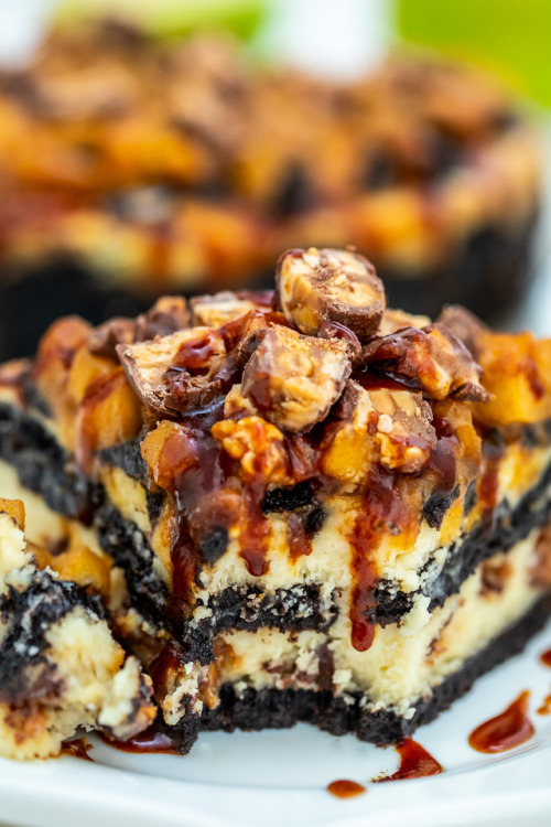 foodffs: Apple Snicker Cheesecake Recipe: sweetandsavorymeals.com/apple-snickers-cheesecake/