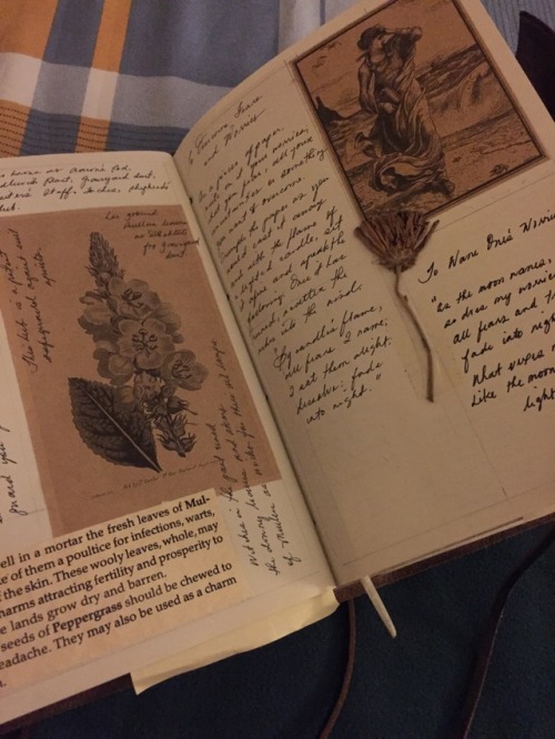 writtensecretsonparchment:The aesthetic of my Grimoire has been inspired by the Owen’s spellbook fro