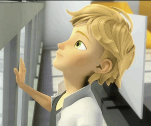 Miraculous Ladybug Marinette Ladybug Adrien Chat Noir Profiles