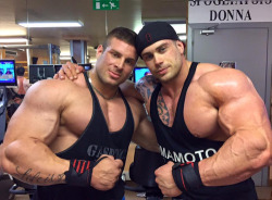 Big Muscle Gods