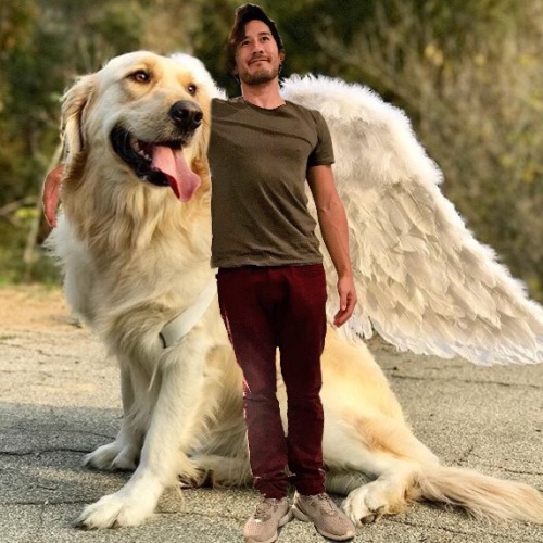 lizziebeth-hd:  Mark wanted us to photoshop Chica with him on Twitter  And now you brought it here…