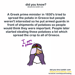 beccatheb:  did-you-kno:  Source  IS THAT VAATI AS A POTATO?? 