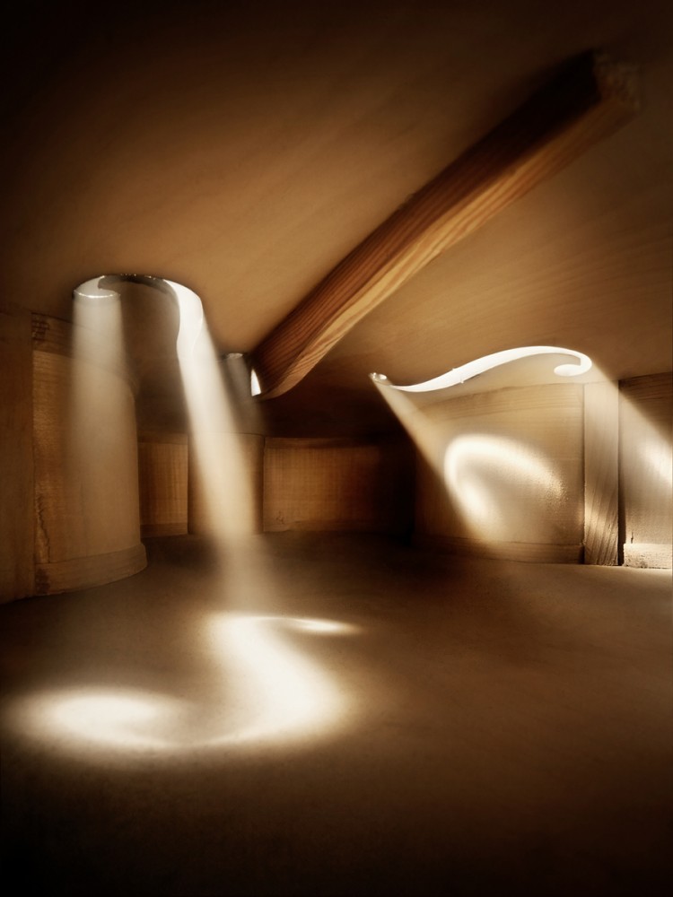 littlelimpstiff14u2:  Inside the Music, Stunning Macro Photography by  Andreas Mierswa