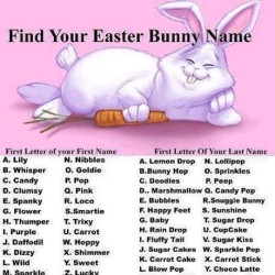 asklaurastuff:  youpullmyheartstrings:  CANDY FLUFFY TAIL :D #easterbunnyname #easter #bunny #name  Dizzy Doodles!  Trixy Happy Feet. I am great and adorable penguin, wat? =|
