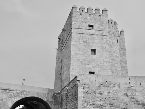 Portería, puente romano, Córdoba, 2016.