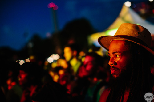 In the riffs.AFROPUNK. 2015Storyteller: Dare Kumolu-Johnson