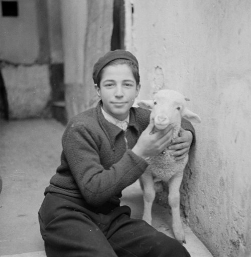  Boy holding a lamb, date unknown