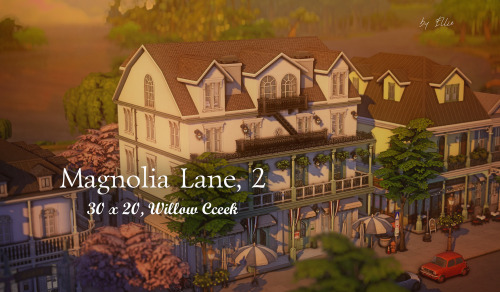 Magnolia Lane, 2