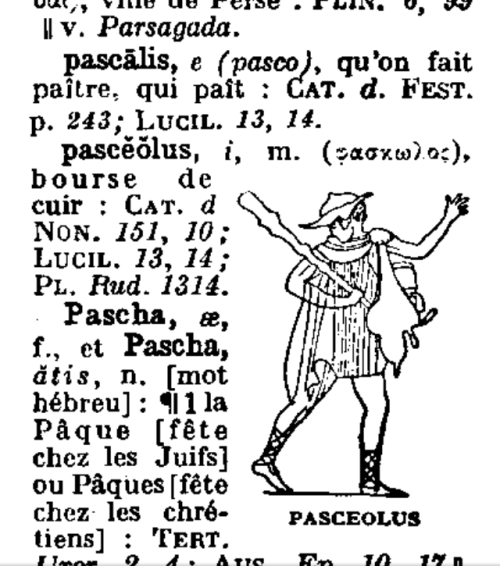 pasceolus