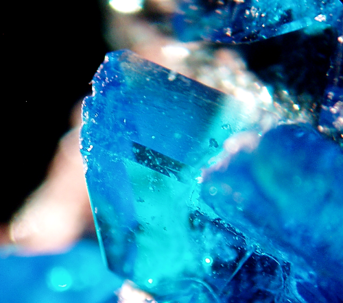 rockon-ro:  Beautiful electric blue crystals of CHALCANTHITE (Copper Sulfate) that were grown in a laboratory in Poland. Photo taken at 15X with a stereo microscope.