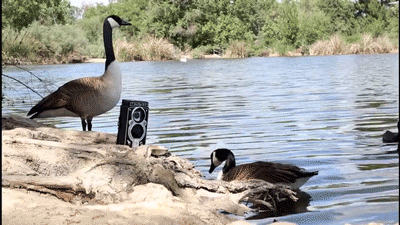 Discover Bird Photo Booth, The World’s First Wireless Bird Feeder And Birdcam. Get More Information