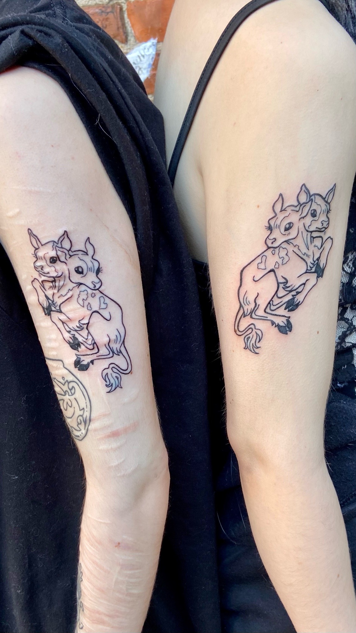 i got a tattoo inspired by my favorite poem the twoheaded calf by laura  gilpin done by cali at magnum opus tattoo collective in somers point NJ   rtattoos