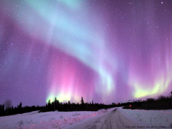 sci-universe:  This image of aurora captured by John Chumack near Fairbanks, Alaska is one of my favourites. These lovely colors and different glowing shapes of northern lights make the scenery look so magical and otherwordly. 
