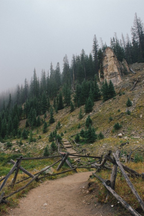 without-roots: 07 sept // rocky mountain national park