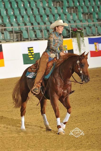 Dual Tack TariSorrel German AQHA 