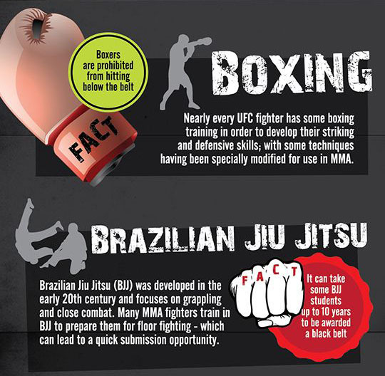 omgbesttaichiswords:  Ten Fixed Martial Arts http://www.icnbuys.com/tai-chi-swords
