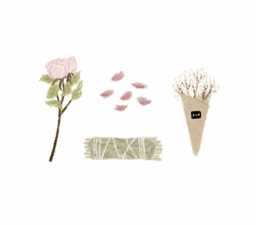 tinaillustration: dry flowers-❖ Youtube：Tina’s❖ Instagram：@tinaaa071