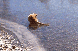 lolfactory:  Ice fishing tumblr pics[via imgur] 