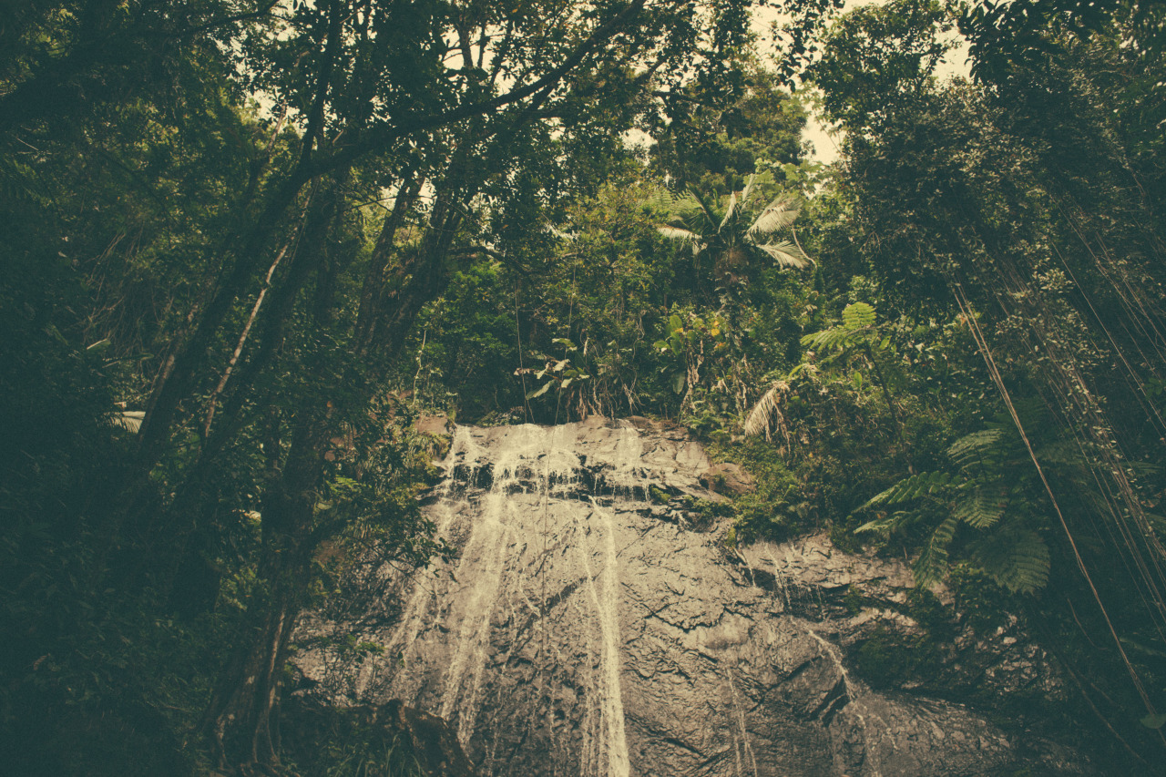 kmilaniz:  followtutes:  Isla del Encanto, Puerto Rico  Mejor post 