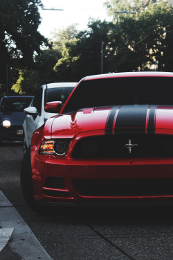 fuckyeahfordmustangs:  envyavenue:  The Boss. | Photographer  Oh, hey..