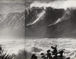 apeninacoquinete:waimea bay, 1963