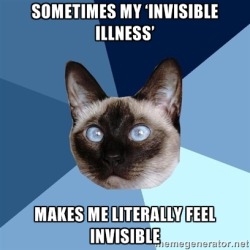 Chronic-Illness-Cat:  From The Amazing Mevslupus.tumblr.com[Picture Of A Cross-Eyed