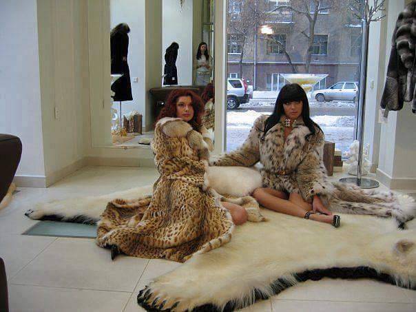 Giselle and I visited Our favorite furrier while on holiday in Oslo. They specialize