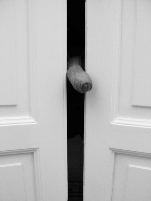 sodomymcscurvylegs:  When you’re playing Hide-and-Seek with your elephant friend,