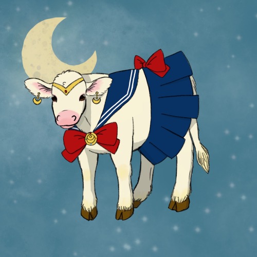 Sailor Mooon