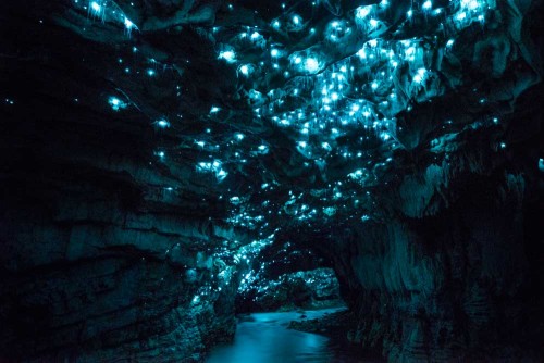 itscolossal:  Long-Exposure Photographs of a New Zealand Cave Illuminated by Glowing Worms  