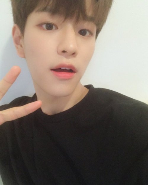 fy-skz: 180906 Stray Kids Instagram Update:  realstraykids: ㅋㅋㅋ I took these yesterday but so you gu