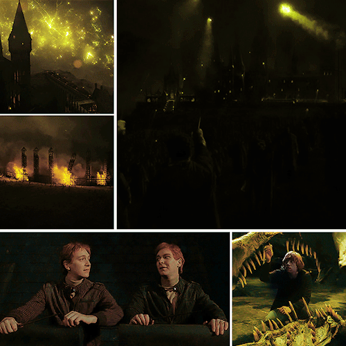 Harry Potter And The Deathly Hallows Part 2 (insp)