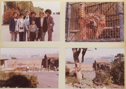 A group of six photo albums, all filled with dozens of color snapshots taken by Bill Bray, the Jacks