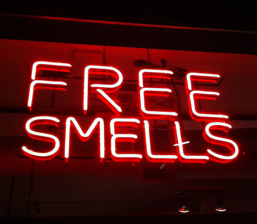 Free Smells Photo by Randy Cox