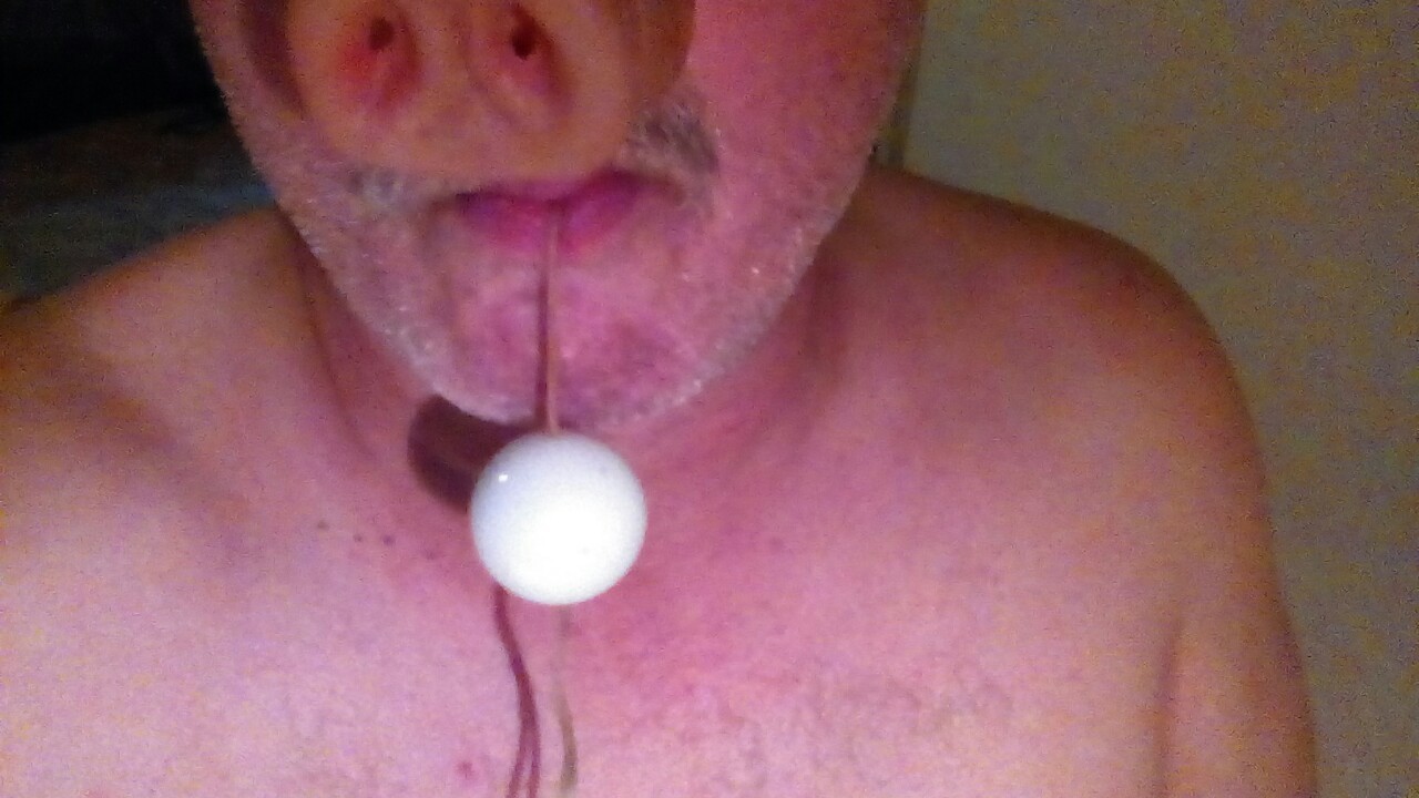 Kugeln aus dem Schweinearsch und gesäubert
