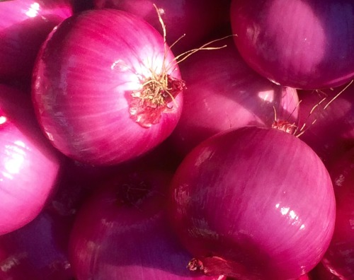 Red Onions, Farmer’s Market, Fairfax City, 2015.