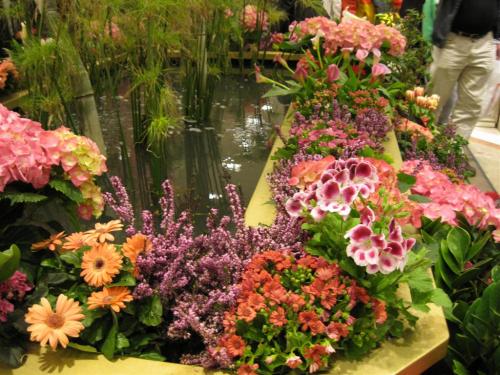 Macy’s Flower Show is still in bloom in Herald Square. Walk through the garden until Saturday, April