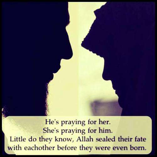 halal-love-stories:
“ Out of curiosity, he takes a peek.
Out of modesty, she looks away.
Two in love but cannot say.
She has been saving herself for the one and only.
And in her eyes he can see innocence and purity.
Out of this, his desire grows, the...