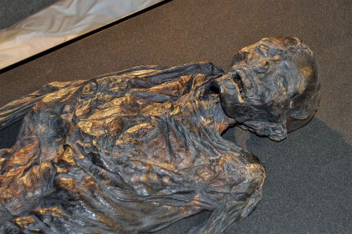 scienceyoucanlove:  Who Were the Ancient Bog Mummies? Surprising New Clues Ongoing research suggests at least two 2,000-year-old corpses had traveled before their deaths. Christine Dell’Amore in Copenhagen National Geographic PUBLISHED JULY 18, 2014